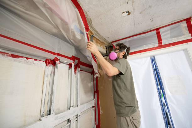 Professional Mold Removal in Evanston, WY